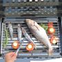 Nomadic | Marine / Campervan / Caravan Grill Style Stainless BBQ